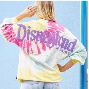 Disneyland logo tie-dye spirit jersey for adults
